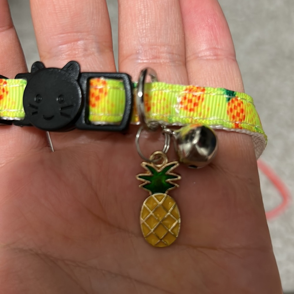 Two cat collars - Picture 3 of 3